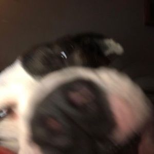 Meet your Posher, Roberto